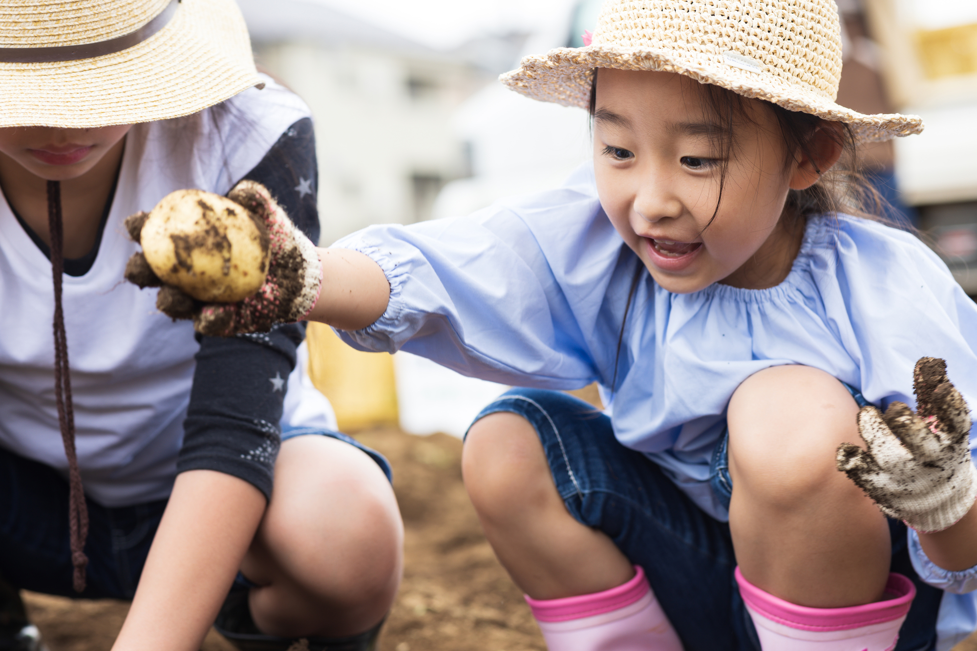 農業体験をする子供たち